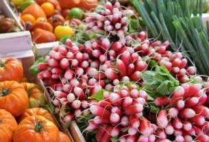 Jantares Veganos Rápidos e Saudáveis