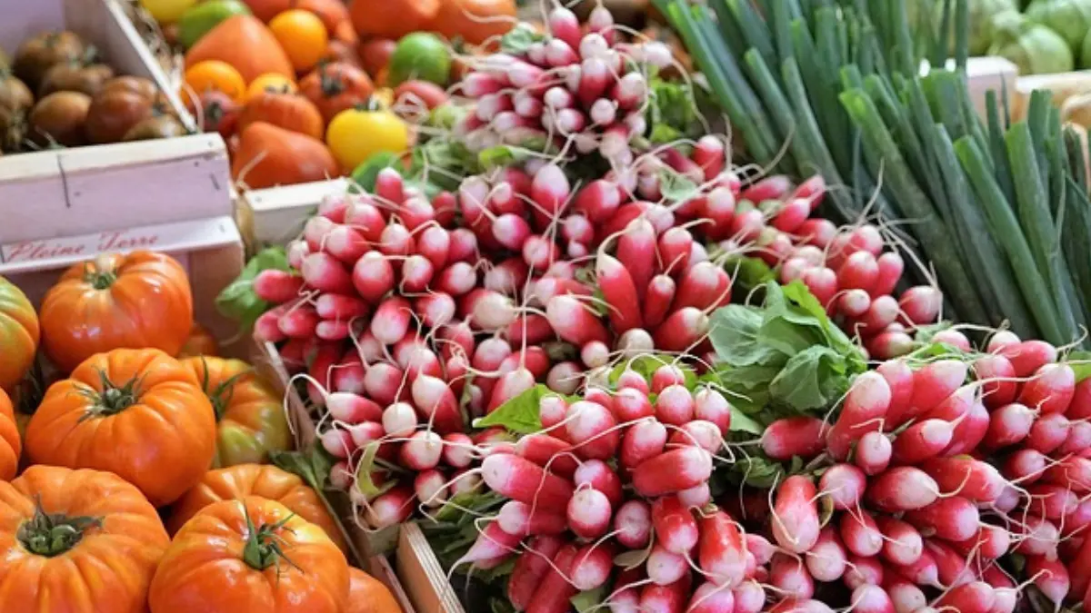 Jantares Veganos Rápidos e Saudáveis